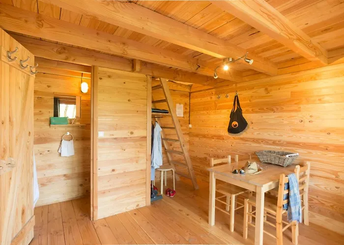 Huttopia Pays De Cordes Sur Ciel Campingplatz